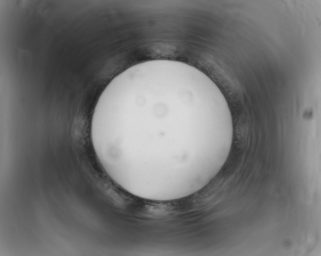 X0000097600079200803211709