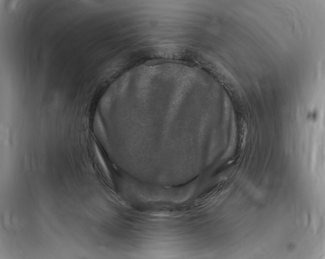 X0000097600080200803211709