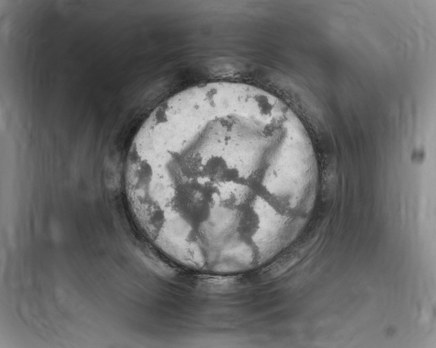 X0000097600081200803211709