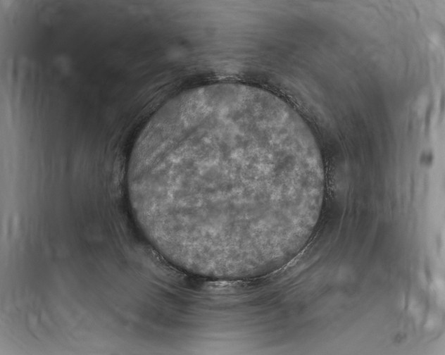 X0000097600082200803211709