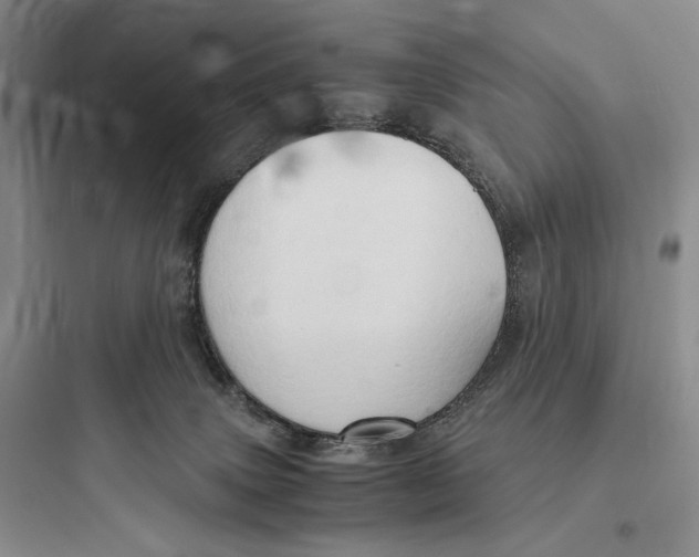 X0000097600083200803211709