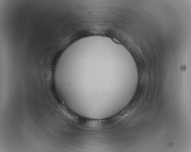 X0000097600084200803211709