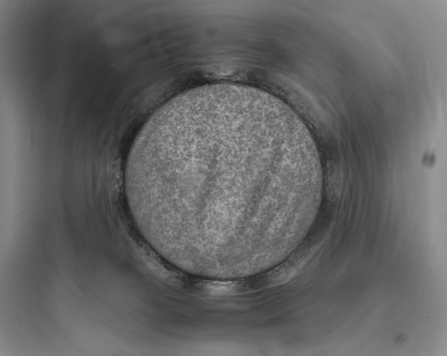 X0000097600085200803211709