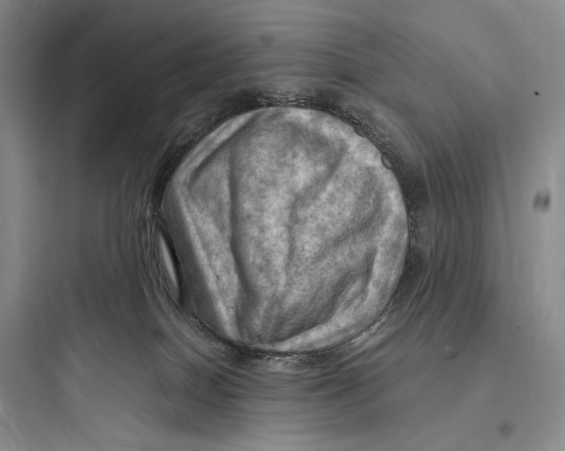 X0000097600086200803211709