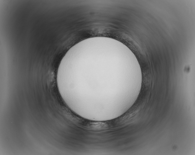 X0000097600087200803211709