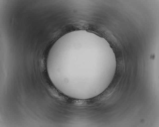 X0000097600088200803211709