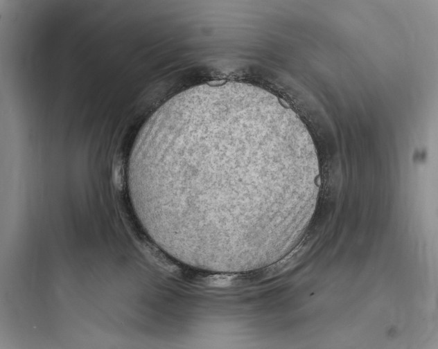 X0000097600090200803211709