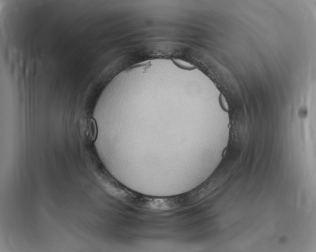 X0000097600091200803211709