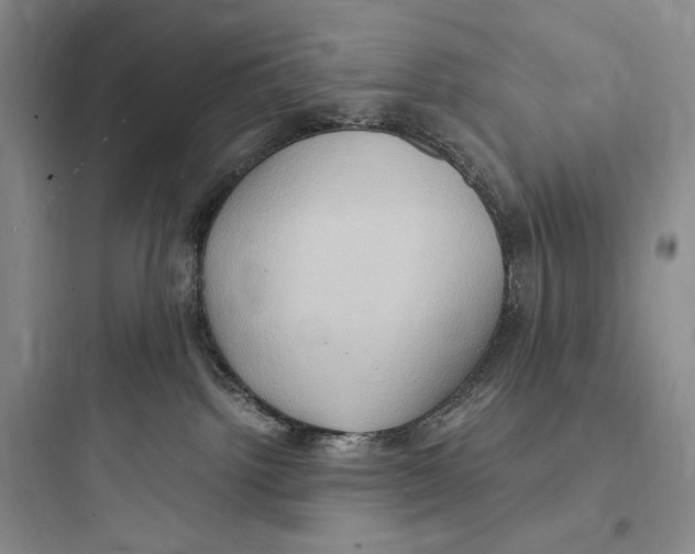 X0000097600092200803211709