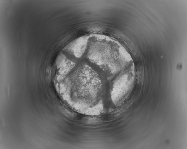 X0000097600093200803211709