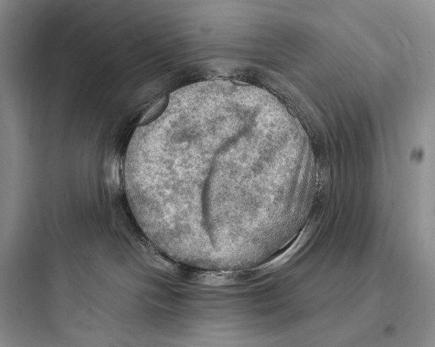 X0000097600094200803211709