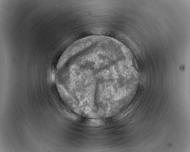 X0000097600095200803211709