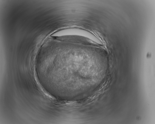 X0000097600097200803211709