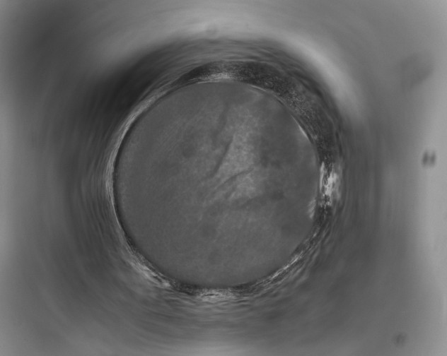 X0000097600099200803211709