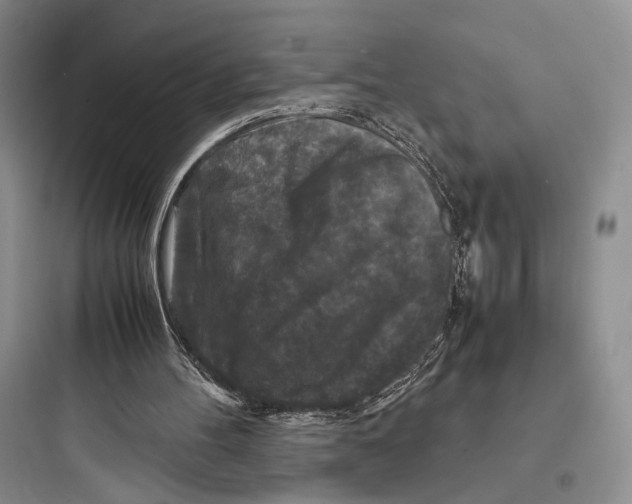 X0000097600100200803211709