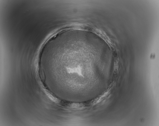 X0000097600101200803211709