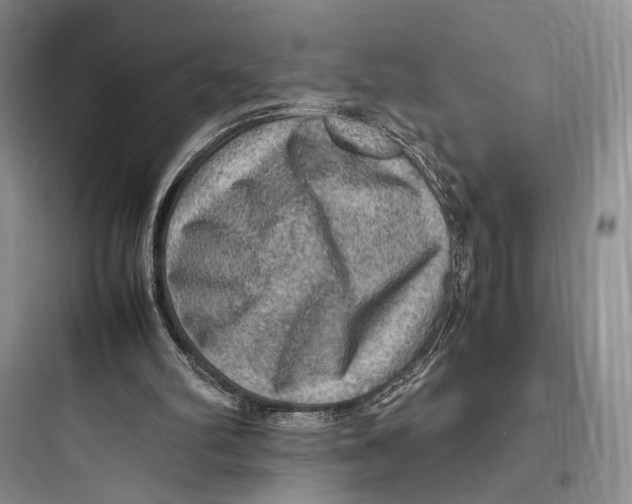 X0000097600102200803211709