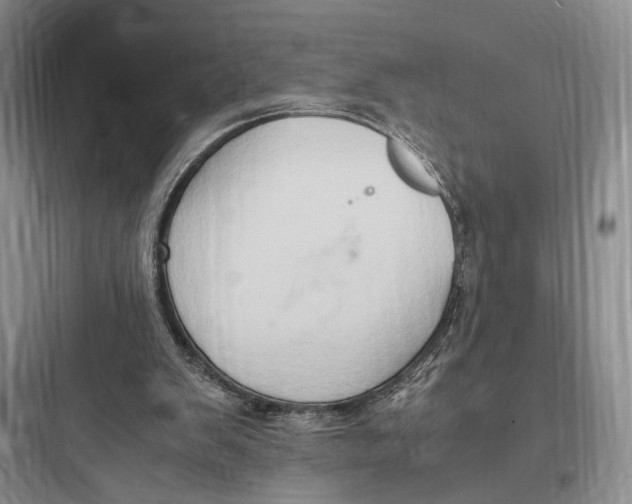 X0000097600103200803211709