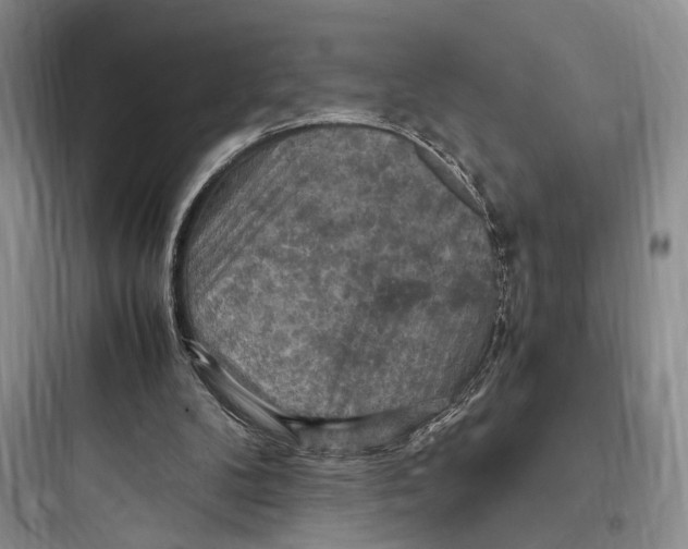 X0000097600104200803211709