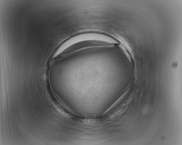 X0000097600105200803211709