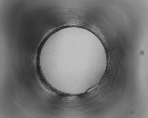 X0000097600108200803211709