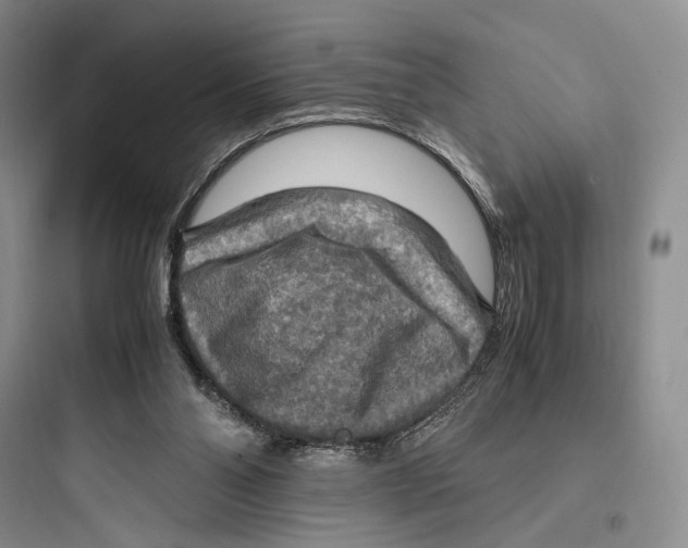 X0000097600110200803211709