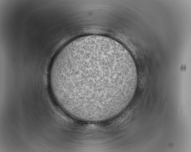 X0000097600111200803211708