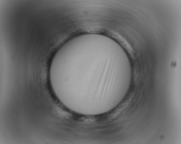 X0000097600113200803211708