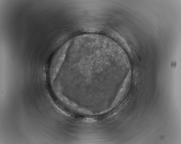 X0000097600114200803211708