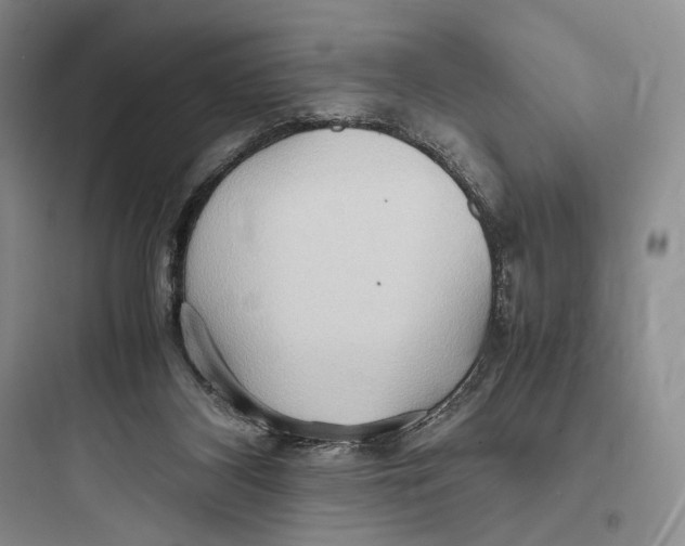 X0000097600116200803211708