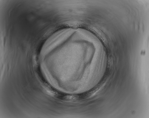 X0000097600117200803211708