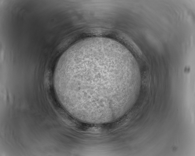 X0000097600119200803211708