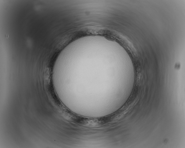 X0000097600121200803211708