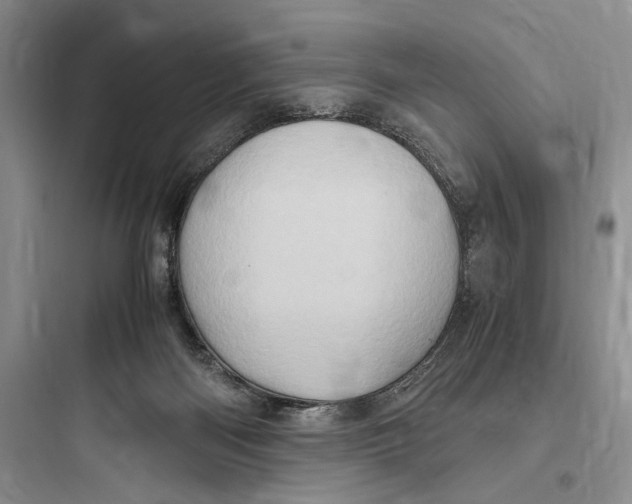 X0000097600122200803211708