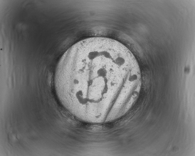 X0000097600123200803211708