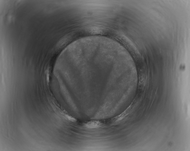 X0000097600124200803211708