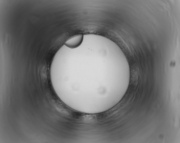 X0000097600126200803211708