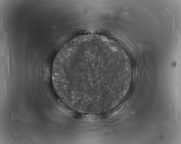 X0000097600127200803211708