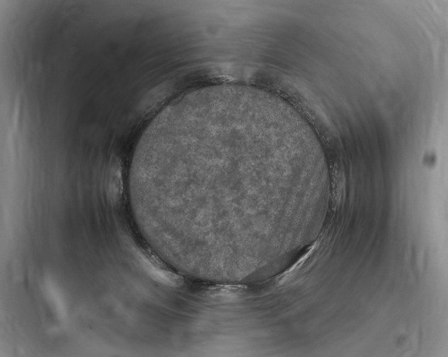 X0000097600128200803211708