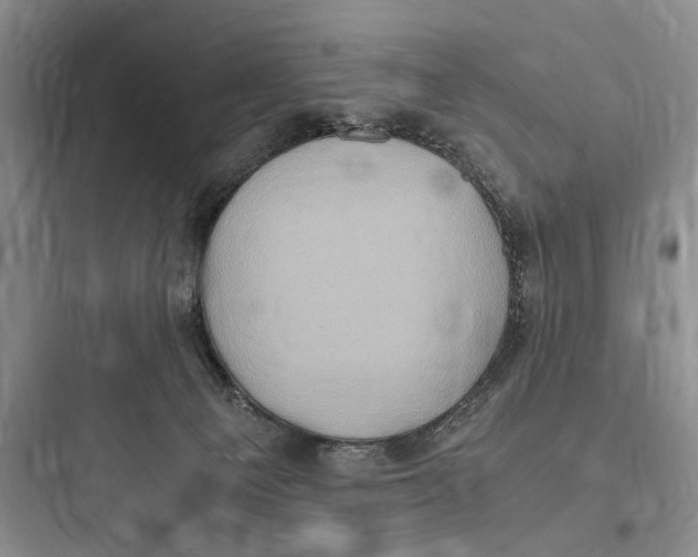 X0000097600129200803211708