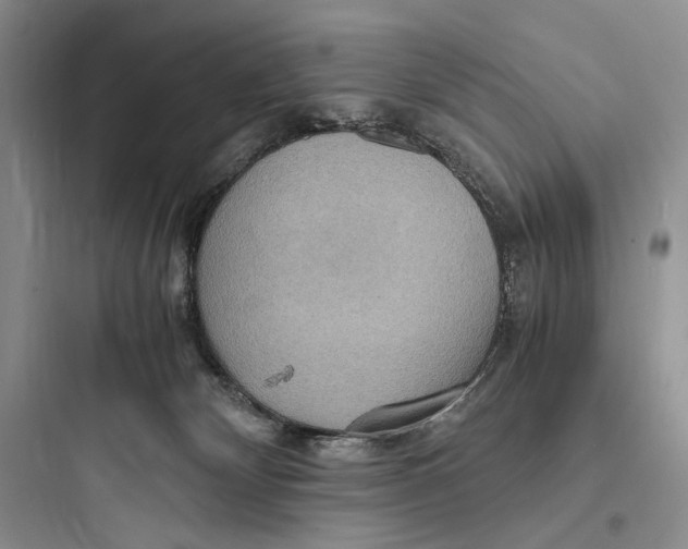 X0000097600132200803211708