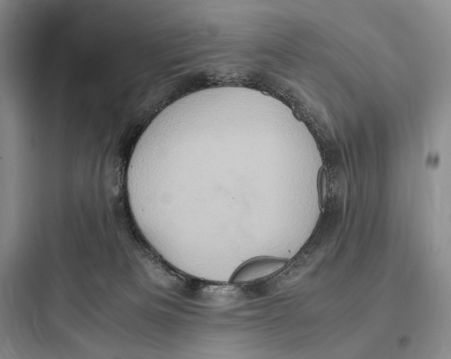 X0000097600133200803211708