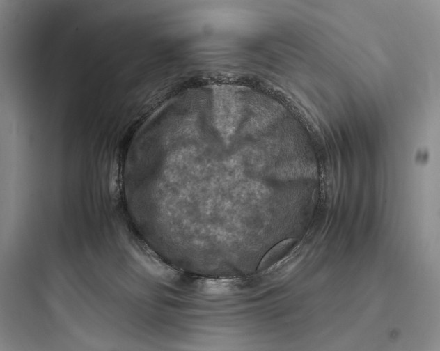 X0000097600134200803211708