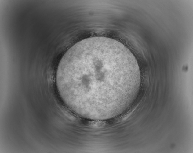 X0000097600135200803211708