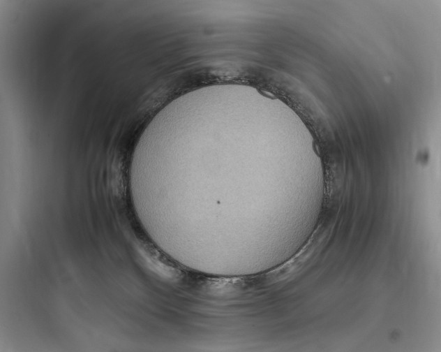 X0000097600136200803211708