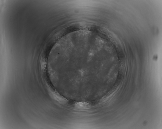 X0000097600137200803211708