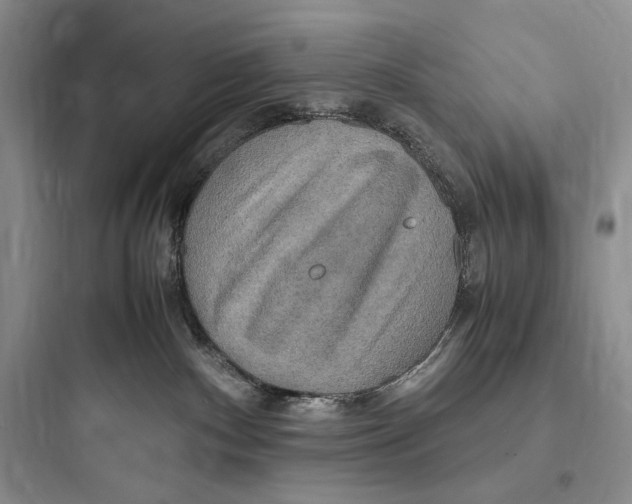 X0000097600140200803211708