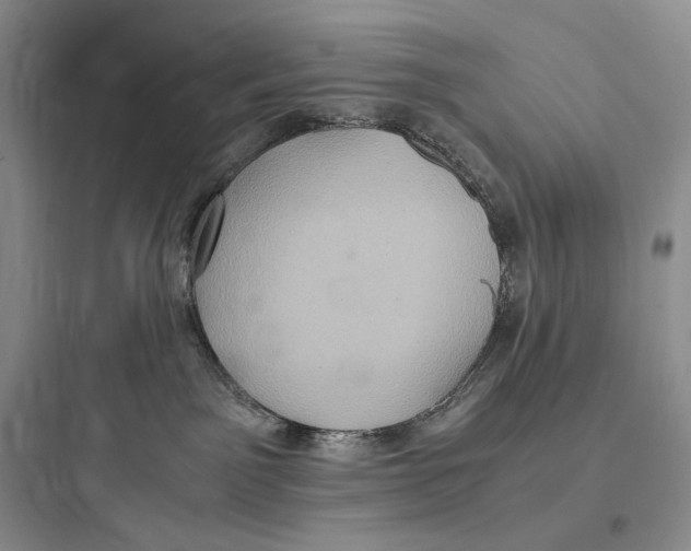 X0000097600141200803211708