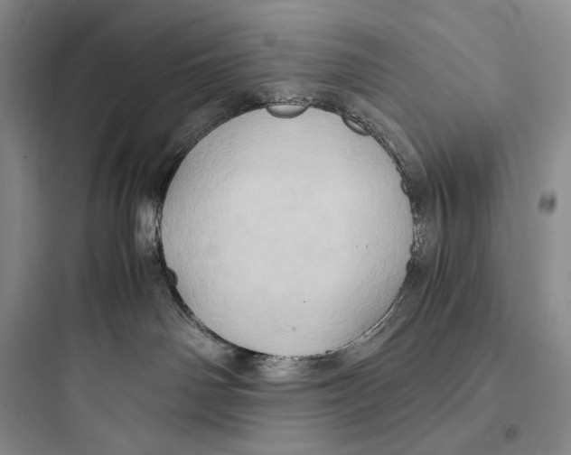 X0000097600142200803211708