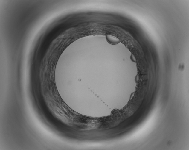 X0000097600143200803211708